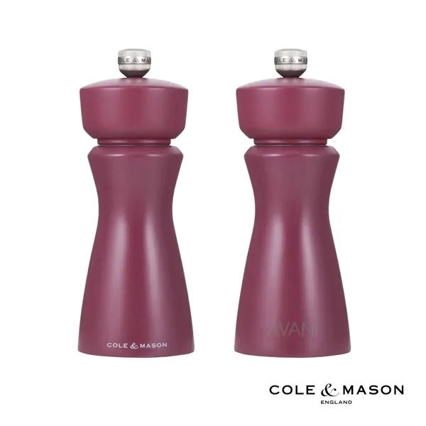The Kenton Salt and Pepper Mill delivers effortless style and practicality... from ASI 84592 St Regis Group