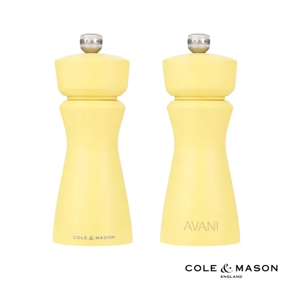 The Kenton Salt and Pepper Mill delivers effortless style and practicality... from ASI 84592 St Regis Group
