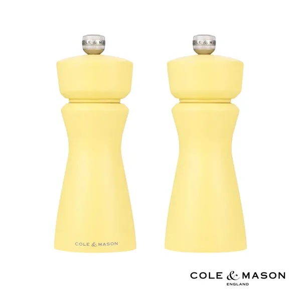 The Kenton Salt and Pepper Mill delivers effortless style and practicality... from ASI 84592 St Regis Group