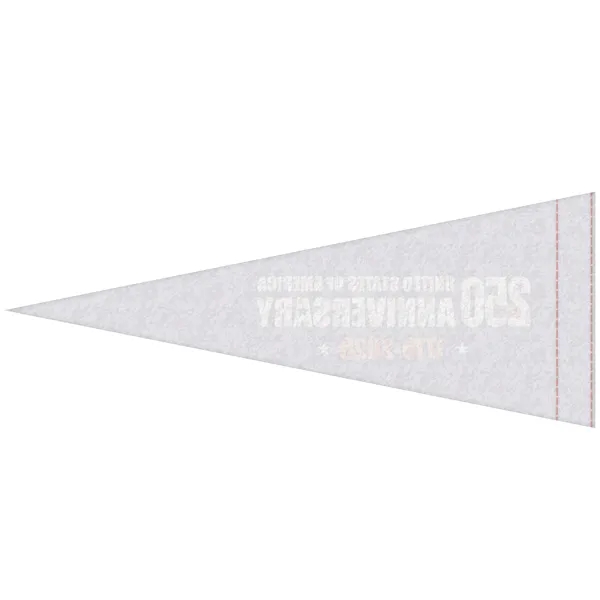 4" x 10" digitally printed custom felt pennant.... from ASI 80228 Quinn
