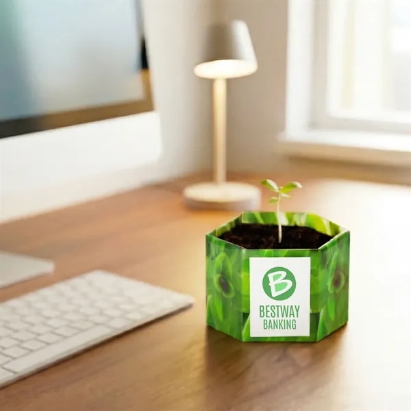 Pop up flower or herb starter kit with a container, soil... from ASI 54100 Fields Manufacturing Inc / Fields