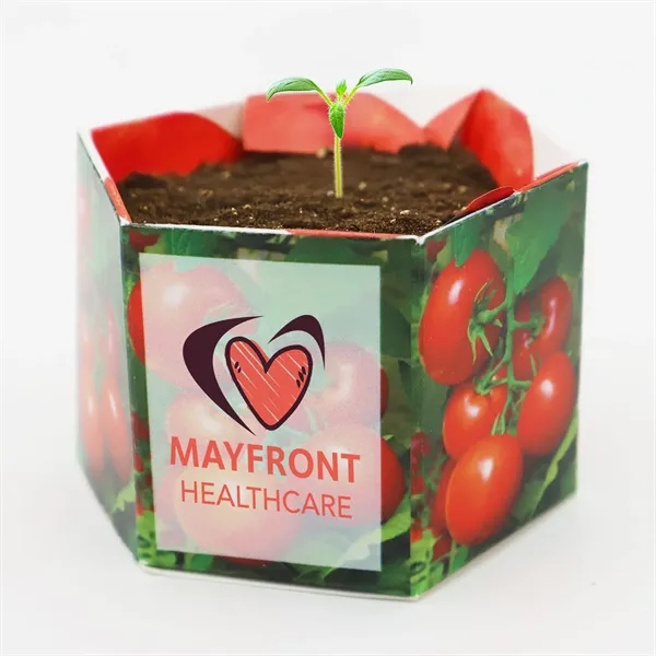 Pop up flower or herb starter kit with a container, soil... from ASI 54100 Fields Manufacturing Inc / Fields