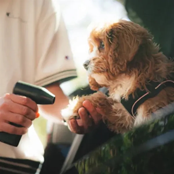 Compact rechargeable air blower that keeps golf gear clean and dry.... from ASI 38120 Ball Pro / Diversified Quality Kitchenware