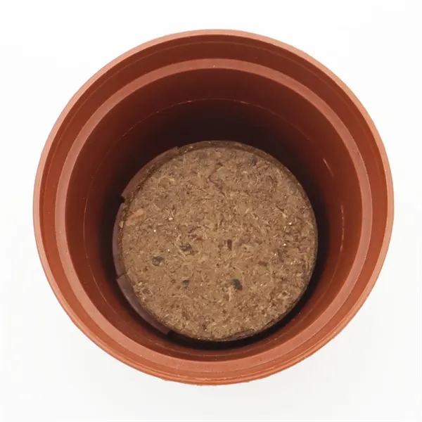 Terra Cotta planter kit featuring a polypropylene planter with seeds, soil... from ASI 54100 Fields Manufacturing Inc / Fields