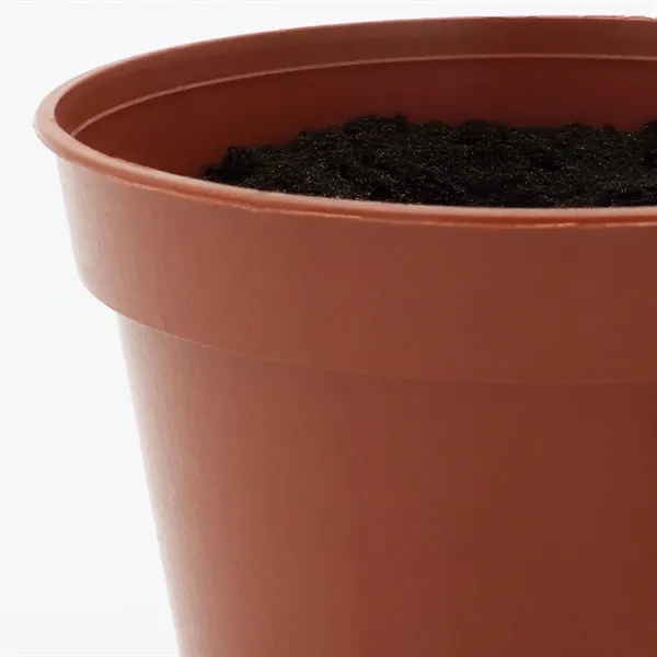Terra Cotta planter kit featuring seeds, a soil disk and instructions.... from ASI 54100 Fields Manufacturing Inc / Fields