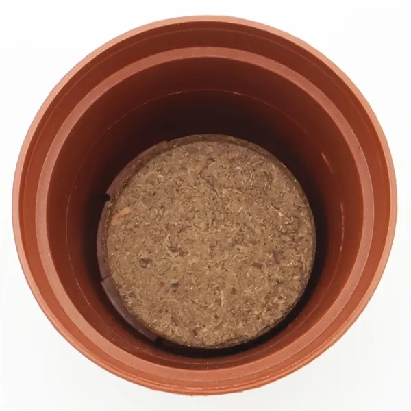 Terra Cotta planter kit featuring seeds, a soil disk and instructions.... from ASI 54100 Fields Manufacturing Inc / Fields