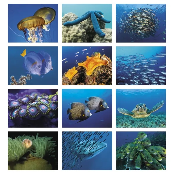 Ocean Glory - Spiral... from ASI 40480 Koozie Group / Norwood Triumph Calendar