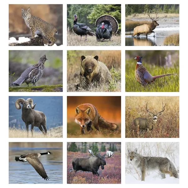 Wildlife Portraits - Spiral... from ASI 40480 Koozie Group / Norwood Triumph Calendar