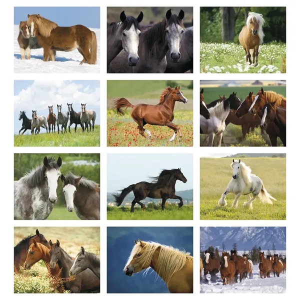 11 x 19 2024 Horse calendar on #70 paper with UV-coated... from ASI 40480 Koozie Group / Norwood Triumph Calendar