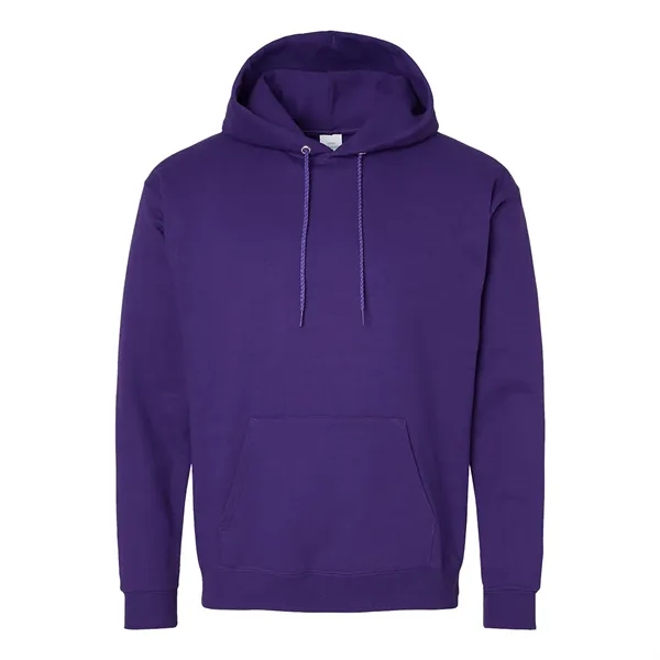 Hanes Ecosmart Hooded Sweatshirt... from ASI 30208 A P Specialties / AP Specialties