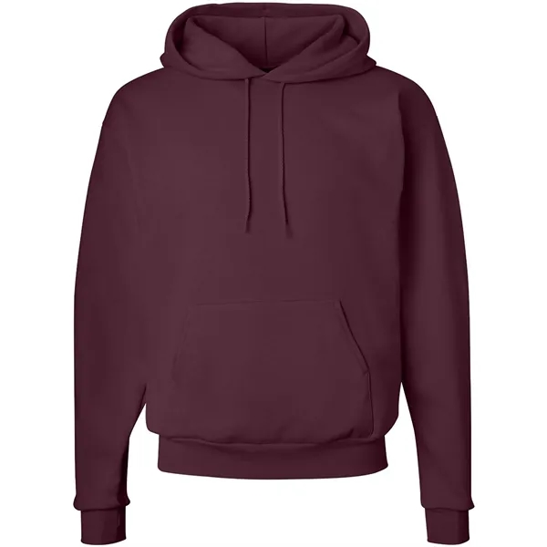 Hanes Ecosmart Hooded Sweatshirt... from ASI 30208 A P Specialties / AP Specialties