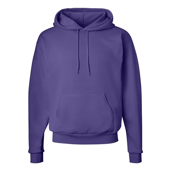 Hanes Ecosmart Hooded Sweatshirt... from ASI 30208 A P Specialties / AP Specialties