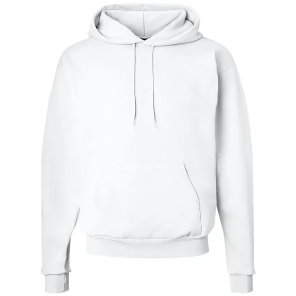 Hanes Ecosmart Hooded Sweatshirt... from ASI 30208 A P Specialties / AP Specialties
