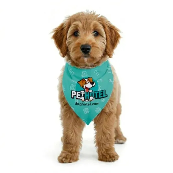 A traditional large sized bandana cut cleanly in half. Perfect for... from ASI 62660 Innovation Line
