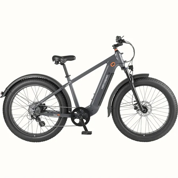 All terrain fat tire electric bike with long range performance for... from ASI 72657 Active Life Promo / Active Life Promo
