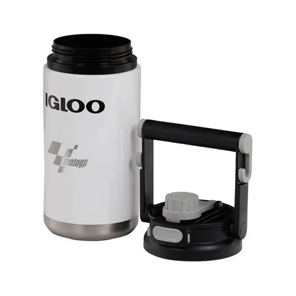However you're getting in on the action - playing in the... from ASI 61005 Hirsch Gift Inc