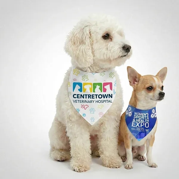 A traditional large sized bandana cut cleanly in half. Perfect for... from ASI 62660 Innovation Line