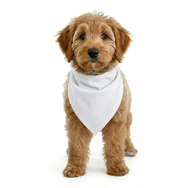 A traditional large sized bandana cut cleanly in half. Perfect for... from ASI 62660 Innovation Line