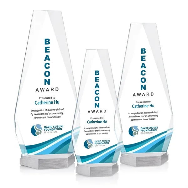 Item #AWARD AWV493 Paulson VividPrint™ Award