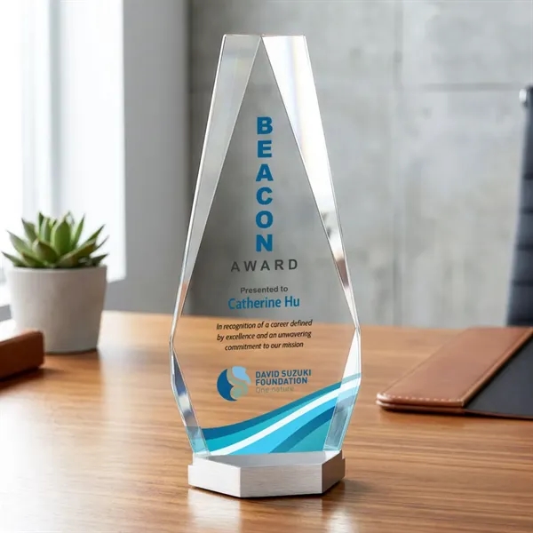 Item #AWARD AWV493 Paulson VividPrint™ Award