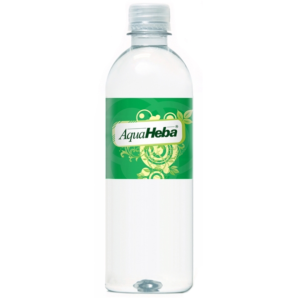 16.9oz/ 500 ml Bottled Natural Spring Water... from ASI 90807 Tekweld