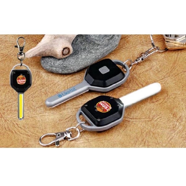 1.25" x 0.625" x 3.25" key-shaped Chip on Board LED light.... from ASI 99030 Zipline