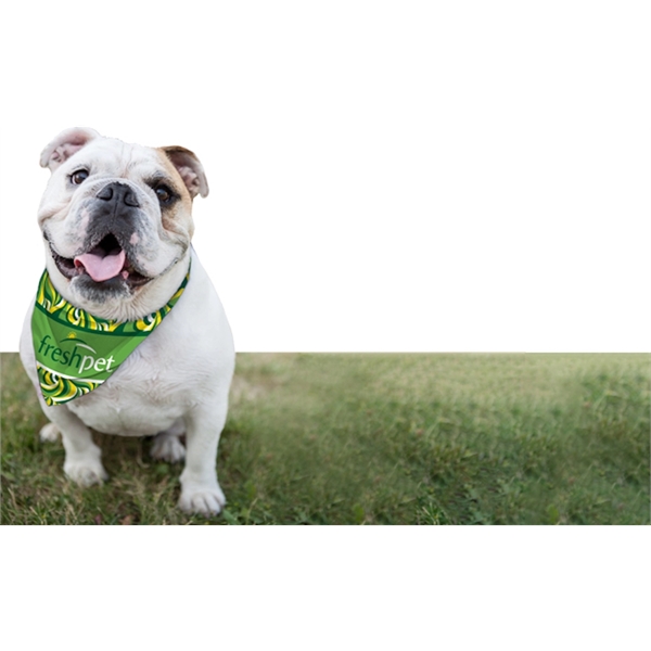 21" x 29" polyester full-color dog bandana printed on one side... from ASI 45657 Pop! Promos