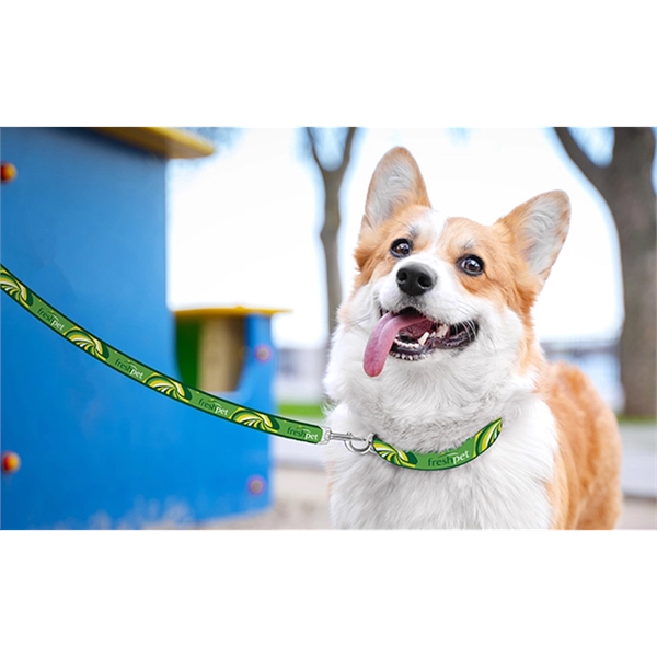 60" long, 1" dog leash of 2mm polyester PMS matched webbing... from ASI 45657 Pop! Promos