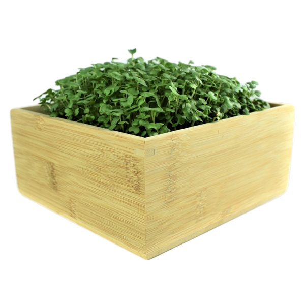 Desktop Micorgreens Grow Kit, perfect for home or office!... from ASI 72657 Active Life Promo / Ingrain Promo