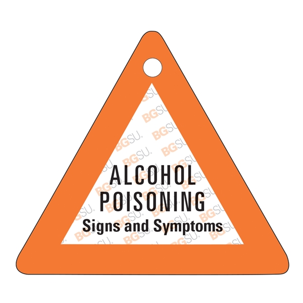 Large Triangle Key Tag.... from ASI 75629 PSI Plastic Graphics / PSI