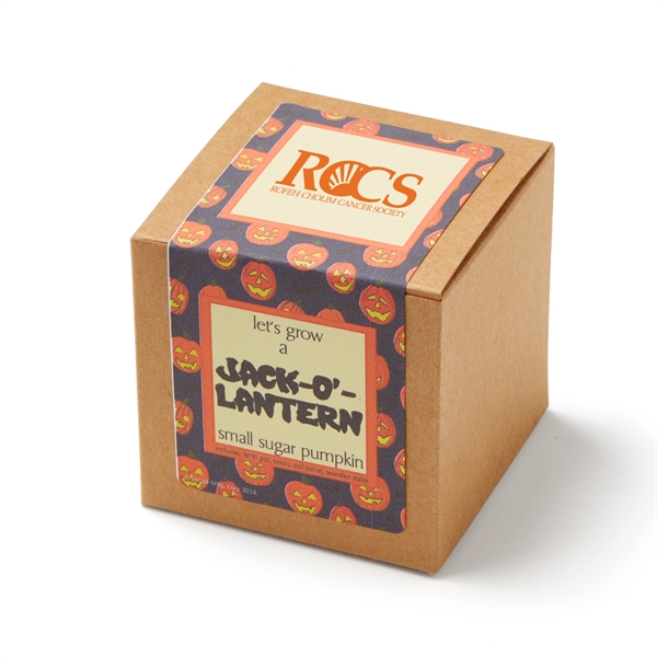 Sugar Pumpkin Growables planter with soil pod, seed packet, wooden stake... from ASI 63549 Jornik Manufacturing Corp / Jornik