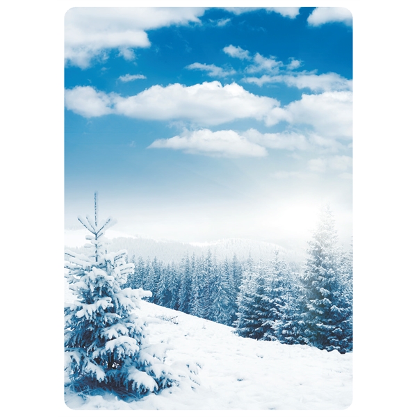 Playing cards with a winter themed background.... from ASI 56080 Playing Cards On Demand