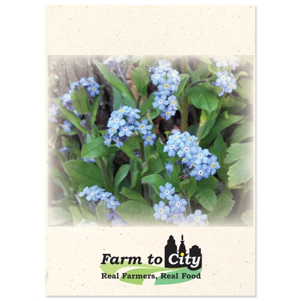 Seed packets with your choice from 42 high quality flower, vegetable... from ASI 54100 Fields Manufacturing Inc / Sprout Tyme Line by American Greenwood