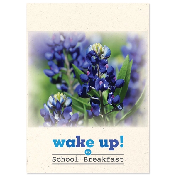 Seed packets with your choice from 42 high quality flower, vegetable... from ASI 54100 Fields Manufacturing Inc / Sprout Tyme Line by American Greenwood