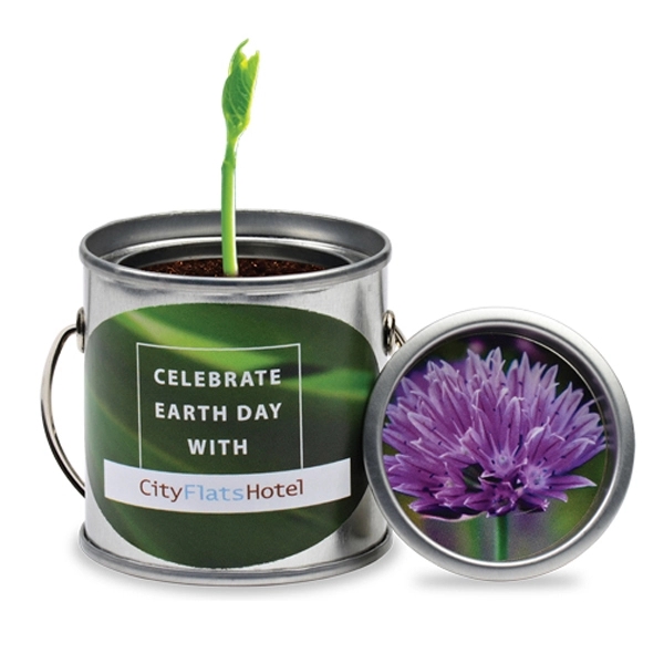 Mini paint pail planter kit with a soil disk, seed packet... from ASI 54100 Fields Manufacturing Inc / Sprout Tyme Line by American Greenwood