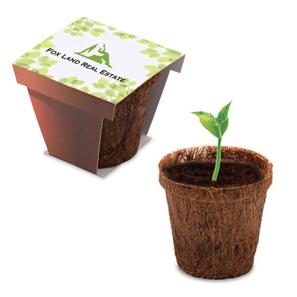 Coir planter, seeds, and soil disk starter kit for growing flowers... from ASI 35500 American Greenwood Inc / Sprout Tyme Line by American Greenwood