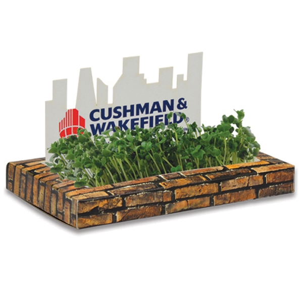 Desktop garden, choose from stock pop up shapes.... from ASI 35500 American Greenwood Inc / Sprout Tyme Line by American Greenwood