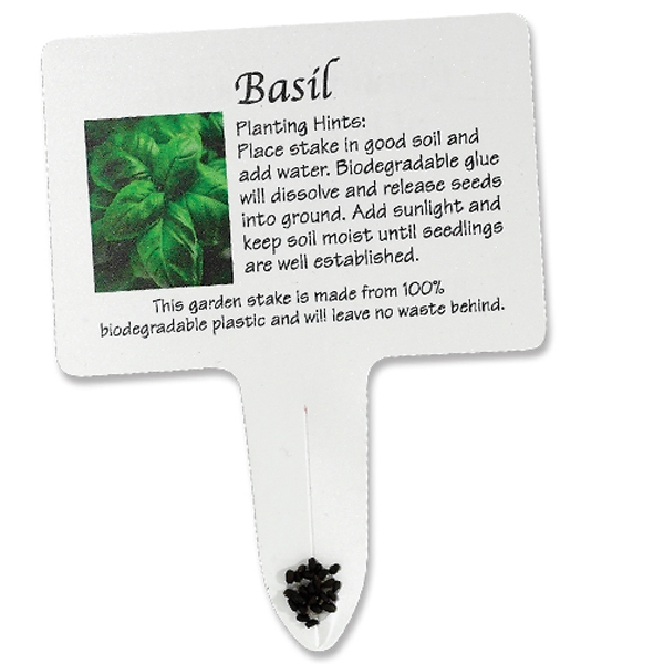 Compostable seed stake.... from ASI 35500 American Greenwood Inc / Sprout Tyme Line by American Greenwood