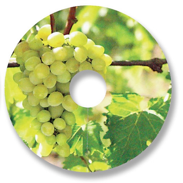 Compostable wine glass tag.... from ASI 35500 American Greenwood Inc / Sprout Tyme Line by American Greenwood