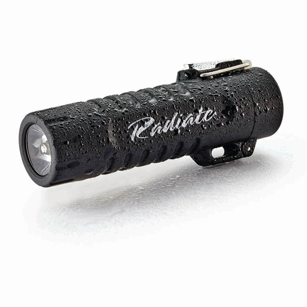 A waterproof, rechargeable, LED flashlight with a built-in electric lighter in... from ASI 46170 Compass Industries Inc