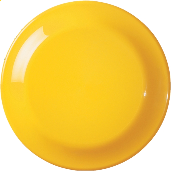 This flying saucer makes a great plate for picnics and camping.... from ASI 79541 Print Appeal,Inc.