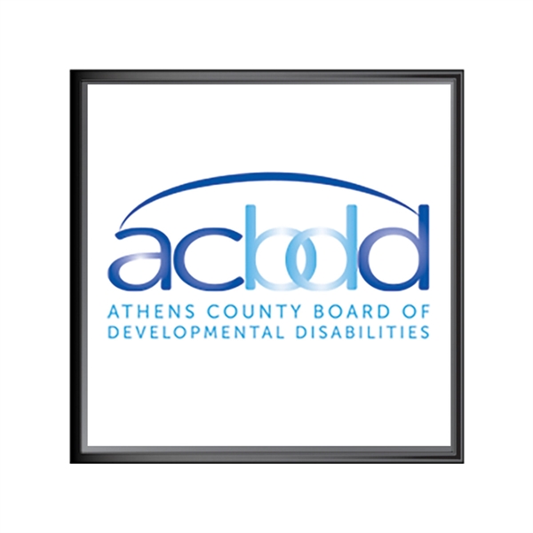 Lapel pin with a laminated insert and a military clutch backing.... from ASI 59080 Halls & Company