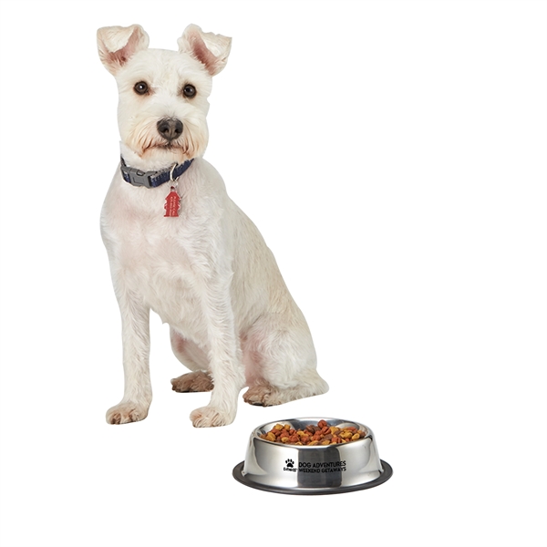 Stainless steel medium sized pet bowl that holds 12 ounces of... from ASI 52840 Evans Manufacturing