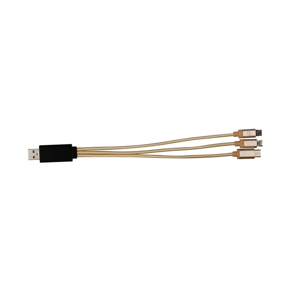 Metallic Light Up Logo Cable with Type C USB... from ASI 30208 A P Specialties / AP Specialties
