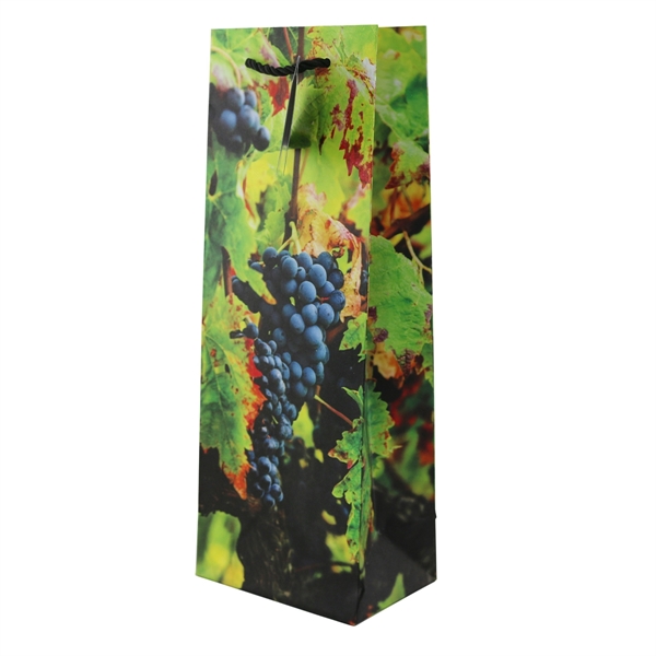 Everyday Wine Gift Bag Collection, 14 3/16" h x 4 7/8"... from ASI 55450 Franmara Inc