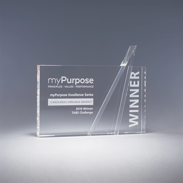 6.5" x 8.5" x 1.5" or 8" x 9.5" x 1.5"... from ASI 62985 J. Charles