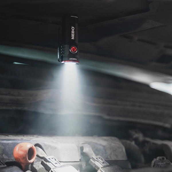 At 2.6 inches and 1000 lumens the rechargeable Torchy, inch for... from ASI 46170 Compass Industries Inc