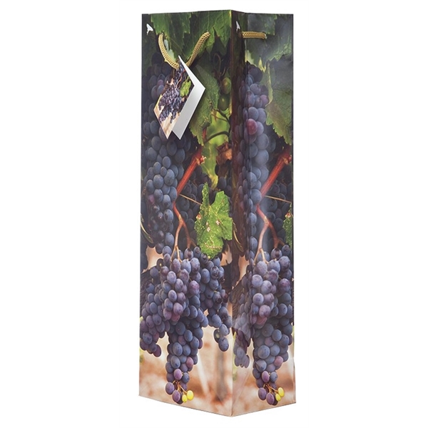 Everyday Wine Gift Bag Collection, 14 3/16" h x 4 7/8"... from ASI 55450 Franmara Inc