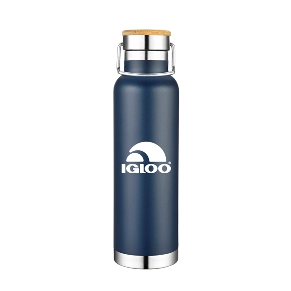 22 oz. stainless steel insulated bottle.... from ASI 40261 Berney-Karp Inc / Creative Source