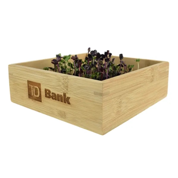 Desktop Micorgreens Grow Kit, perfect for home or office!... from ASI 72657 Active Life Promo / Ingrain Promo